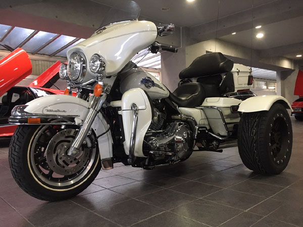 ハーレートライク